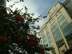 London photo